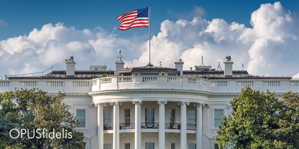 Trump approves new initiative enabling private sector to fight cybercrime gangs